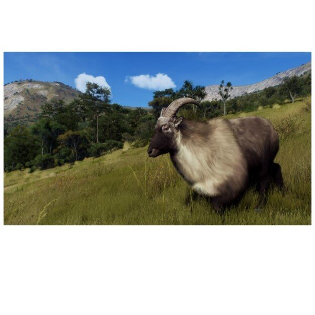 Way of the Hunter - Wild Expeditions              - Xbox Series X 2