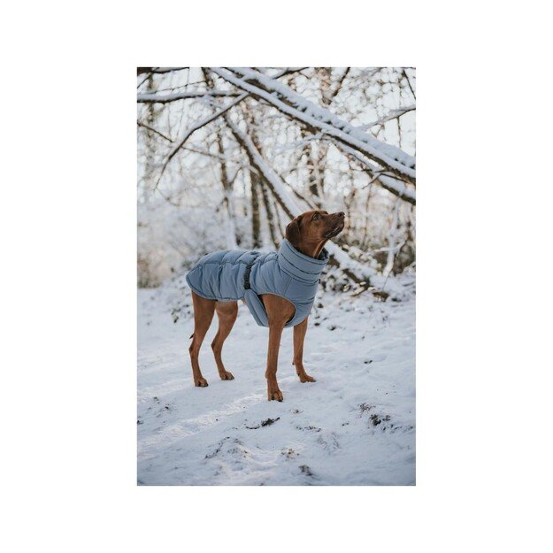 Hunter - Dogcoat Paxson Dachshund 40, blue - (203514) 2