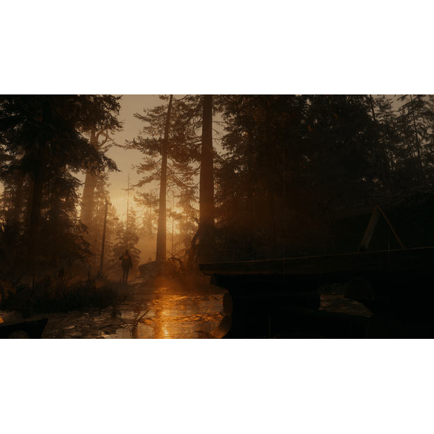 Alan Wake 2 (Deluxe Edition)

  - Xbox Series X 17