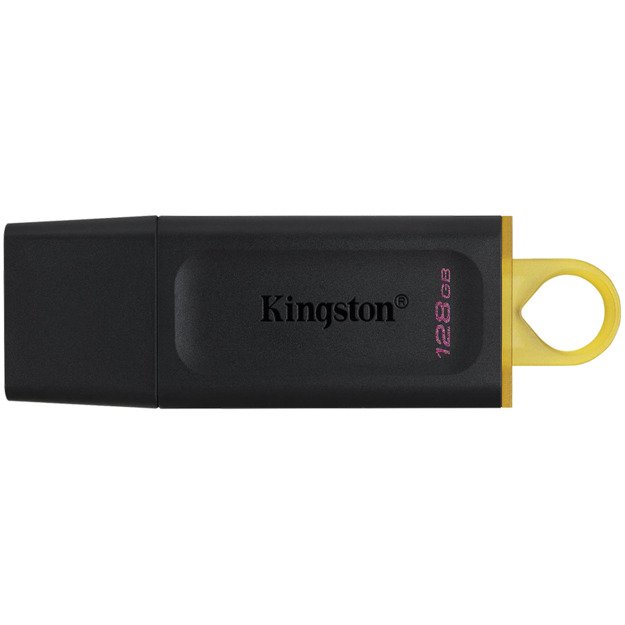 Memory USB flash KINGSTON DTXS/128GB 1