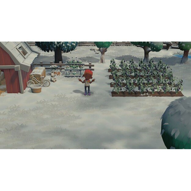 Hokko Life
      
        - Nintendo Switch 3