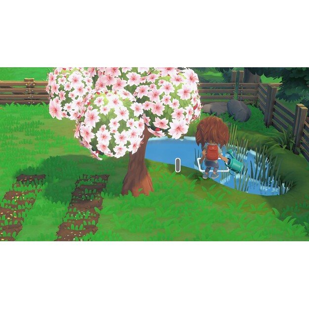 Hokko Life
      
        - Nintendo Switch 1