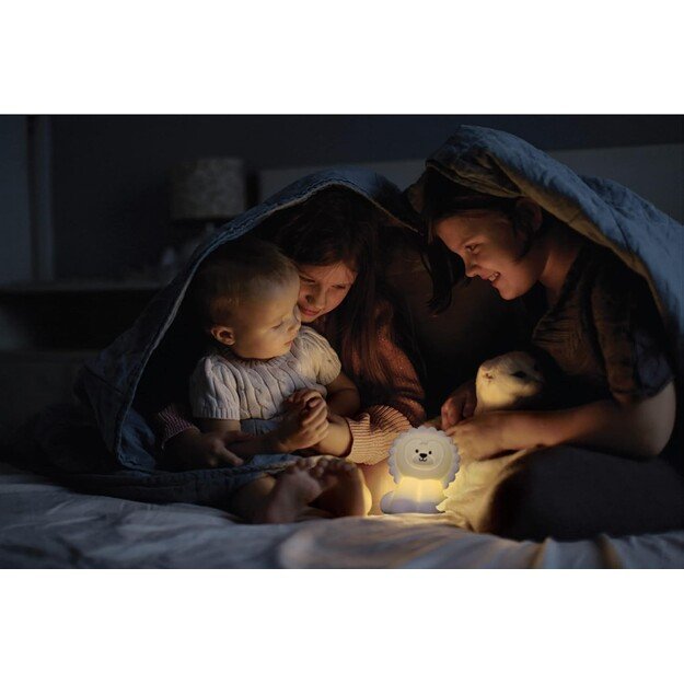 NiteLite - NiteLite Lion - (QN0102) 8