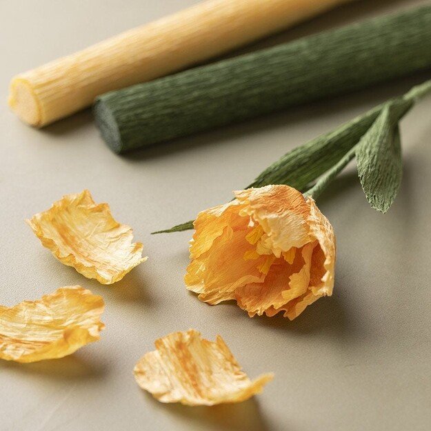 Crepe Paper - Mute Colours (209002) 5