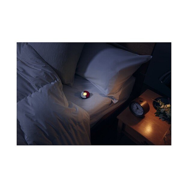 Pokémon GO Plus + 3