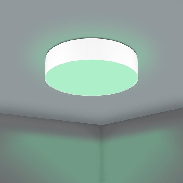 EGLO - Romao-Z loft lamp white Ø57 - RGB + TW - Zigbee, Bluetooth 3