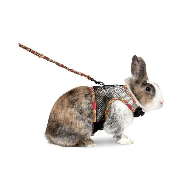Flamingo - Harness with leash for rabbit - (5415245149301) 1