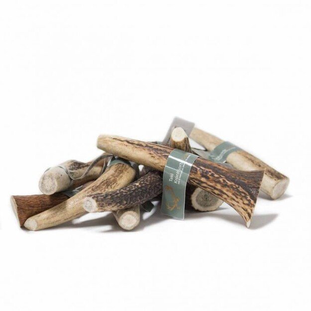 Taki - Deer Antler  XL 18cm - (01-608) 1
