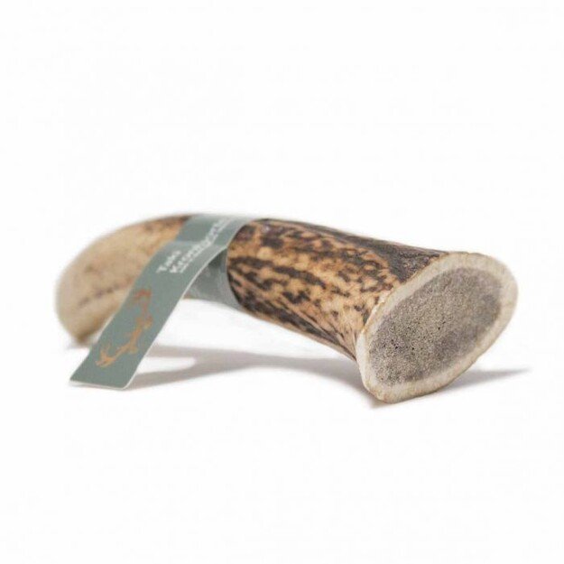 Taki - Deer Antler  XL 18cm - (01-608) 2