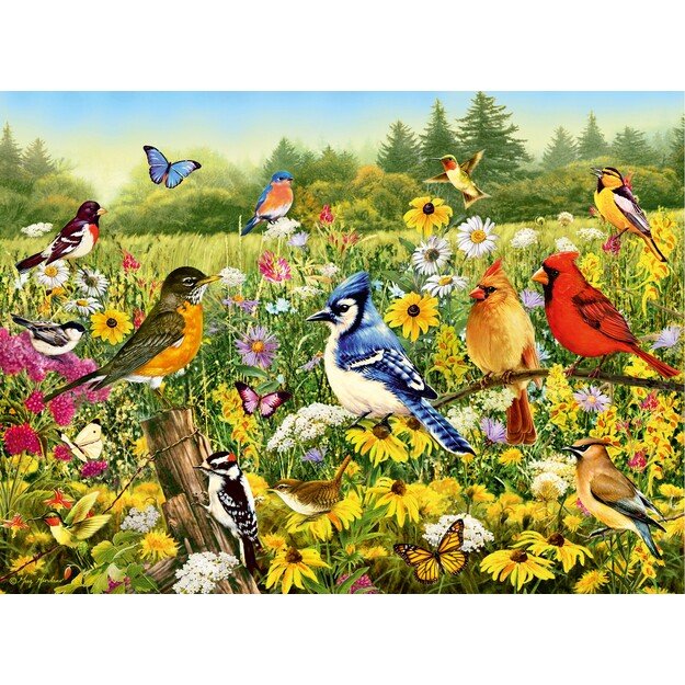 Ravensburger - Puzzle Birds in the Meadow 500p (12000336) 1