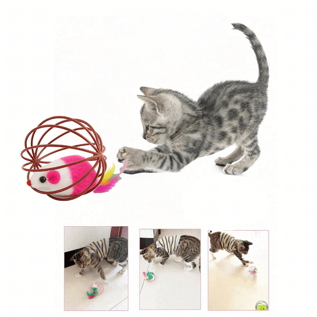 Žaislinis kamuoliukas katei Interaktyvi pelė Piórka Rattle Wire Ball 10