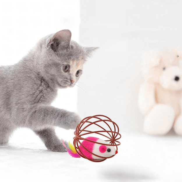 Žaislinis kamuoliukas katei Interaktyvi pelė Piórka Rattle Wire Ball 15