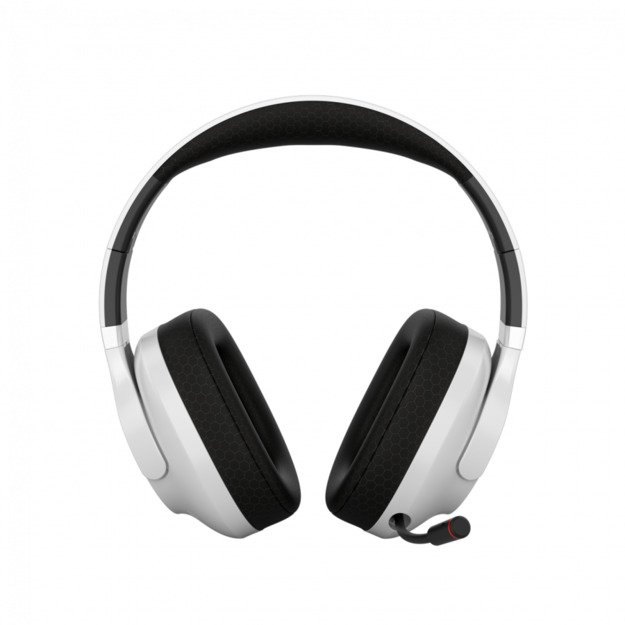 Gaming Headset CANYON CND-SGHS16W 1