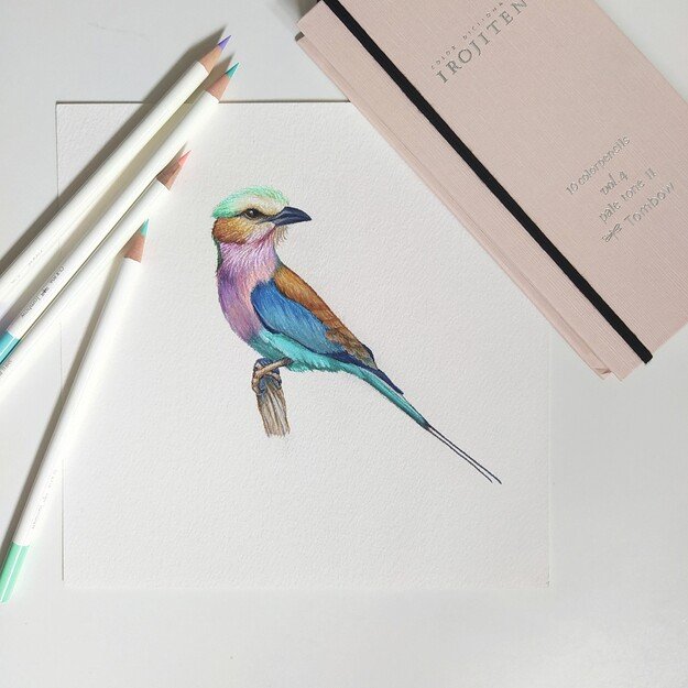 Tombow - Coloring pencils Irojiten 2