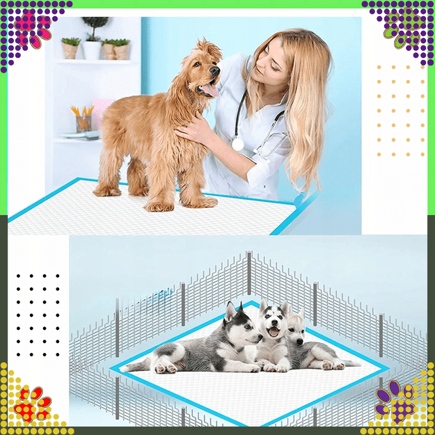 288 x Podkłady Maty Higieniczne dla Psa do Nauki Sikania Xl 40x60cm Grube 50 szt 11