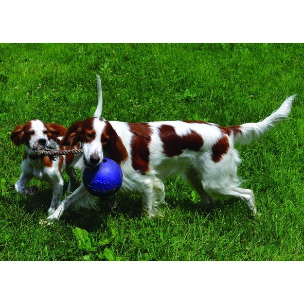 Jolly Pets - Ball Romp-n-Roll 20cm Blue - (JOLL051F) 2