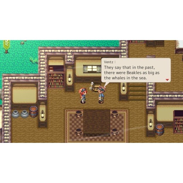Gale of Windoria (Limited Run) - PlayStation 5 5