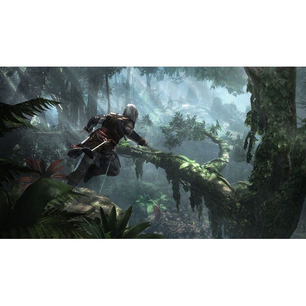 Assassin's Creed IV: Black Flag (Playstation Hits)
      
        - PlayStation 4 3