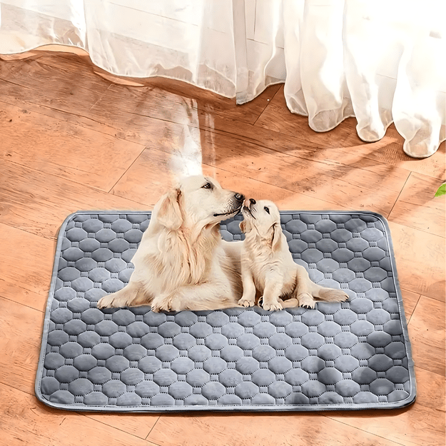 Podkład Higieniczny Chłonny Mata Wielorazowa do Sikania dla Psa 50x35cm 23
