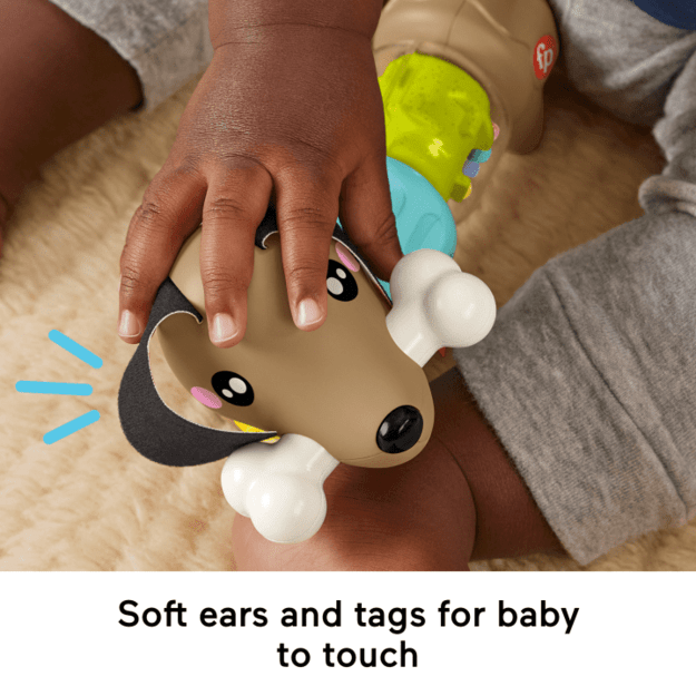 Fisher Price Infant – Click and Spin Activity Pup (HTW91) 1