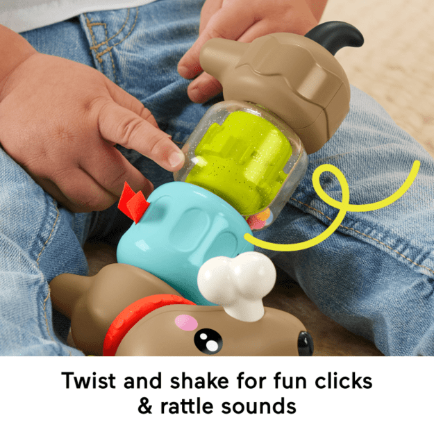 Fisher Price Infant – Click and Spin Activity Pup (HTW91) 3