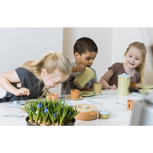 Dantoy - BIOPlast Dinner Set (5600) 2