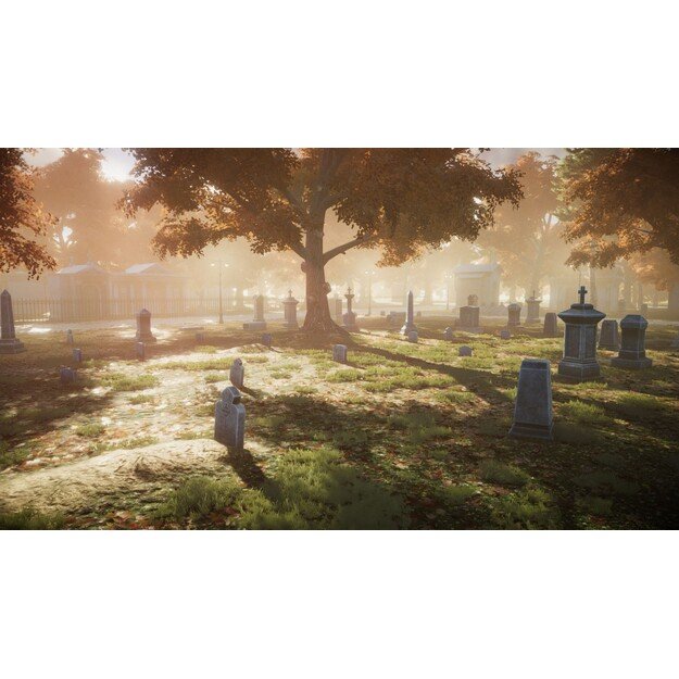 Blacksad: Under the Skin
      
        - Xbox Series X 8