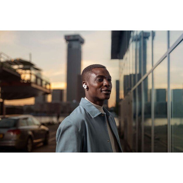 Philips Audio - True Wireless Fidelio - T1WT 1