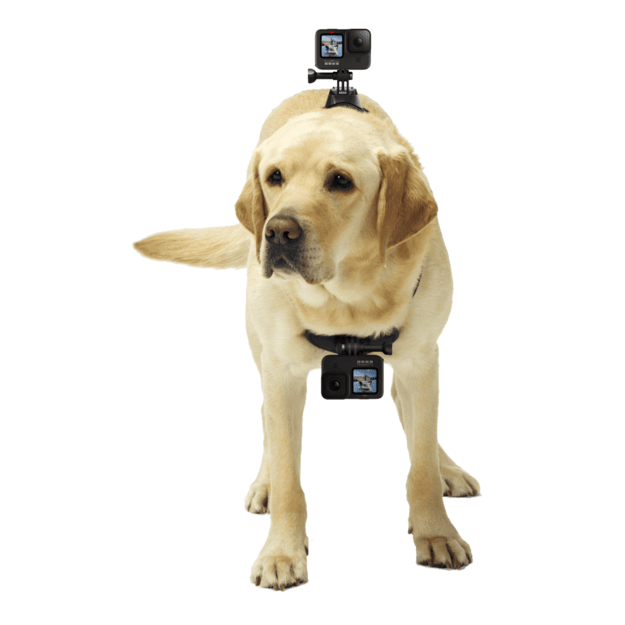 GoPro - Fetch 1