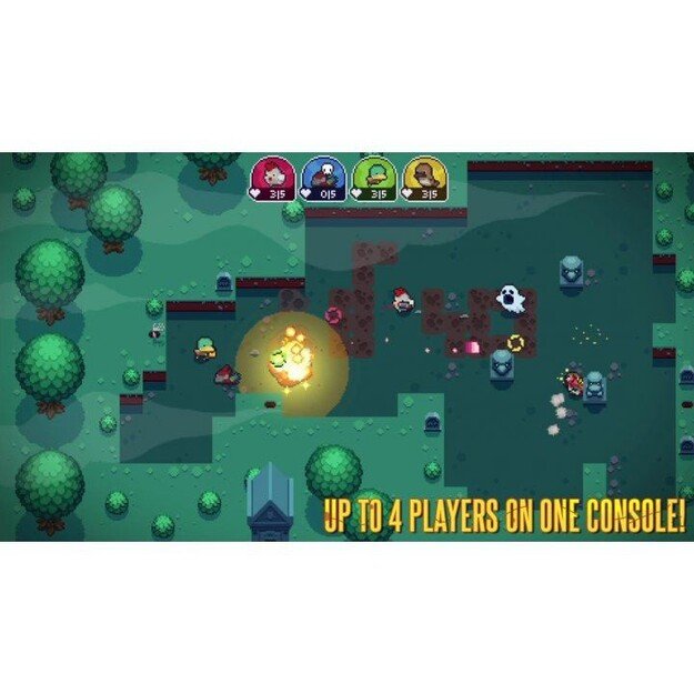 Blazing Beaks
      
        - Nintendo Switch 5