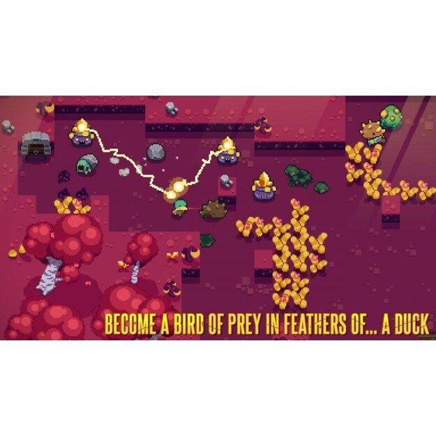 Blazing Beaks
      
        - Nintendo Switch 6