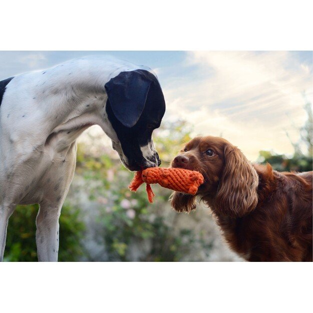 Swaggin Tails - Svante the squirrel - (SW01-103) 1