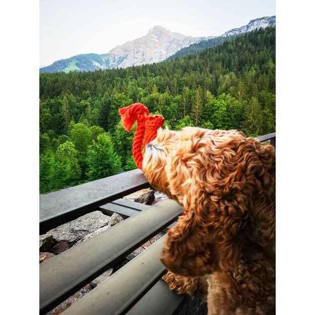 Swaggin Tails - Svante the squirrel - (SW01-103) 2