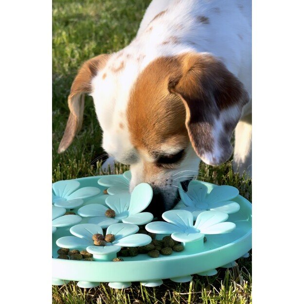 Confetti Dogs - Flower Lick Mat 20 x 20 x 2 cm - (PBL6898S) 4
