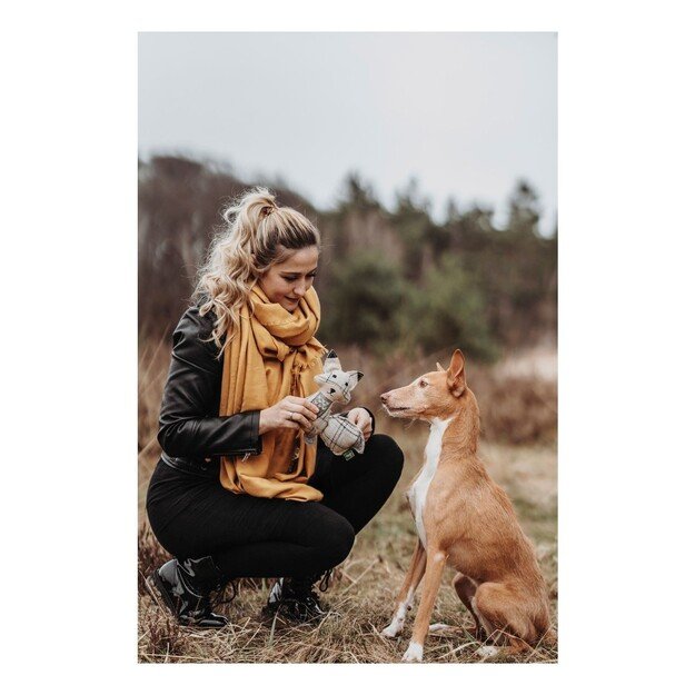 Hunter - Dog toy Billund Fox - (69355) 1