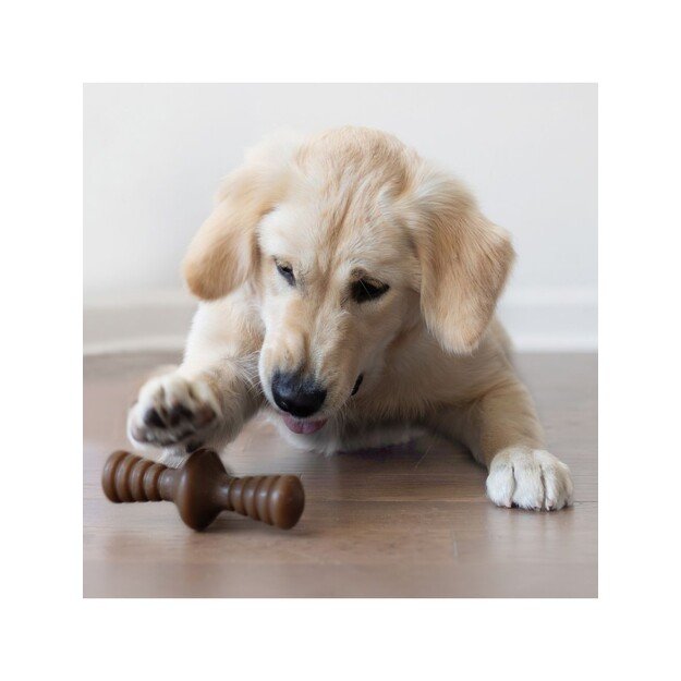 Benebone - Zaggler Peanut S, 6cm - (854111004545) 2