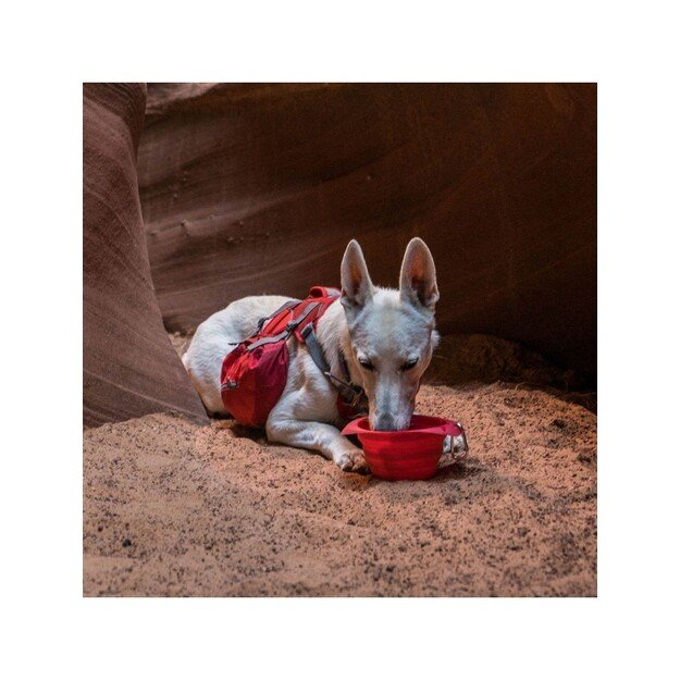 KURGO - Collaps A Bowl, Red - (81314601136) 1