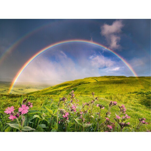 Ravensburger - Puzzle Rainbowscape 1500p (12000800) 2