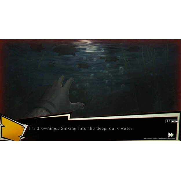 Spirit Hunter: NG
      
        - PlayStation 4 6