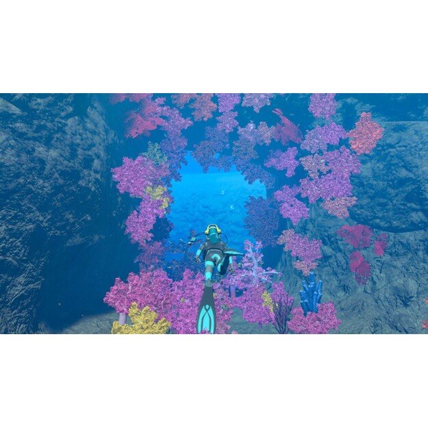 Endless Ocean Luminous
      
        - Nintendo Switch 1