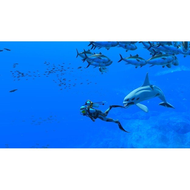 Endless Ocean Luminous
      
        - Nintendo Switch 2