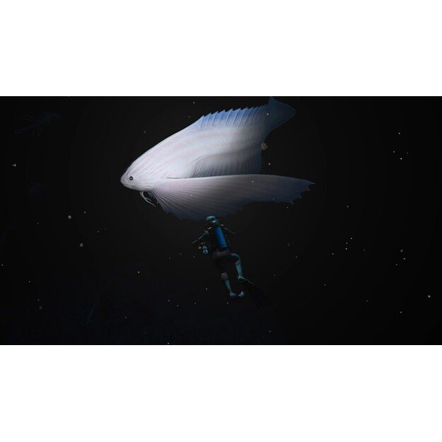 Endless Ocean Luminous
      
        - Nintendo Switch 4