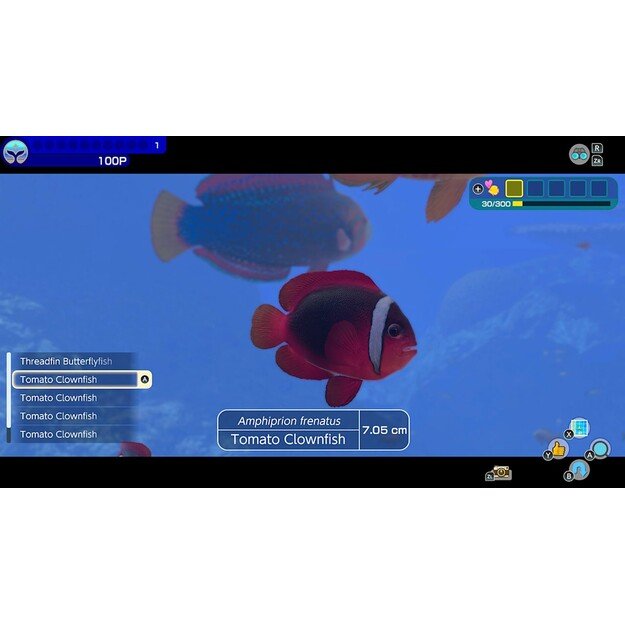 Endless Ocean Luminous
      
        - Nintendo Switch 6