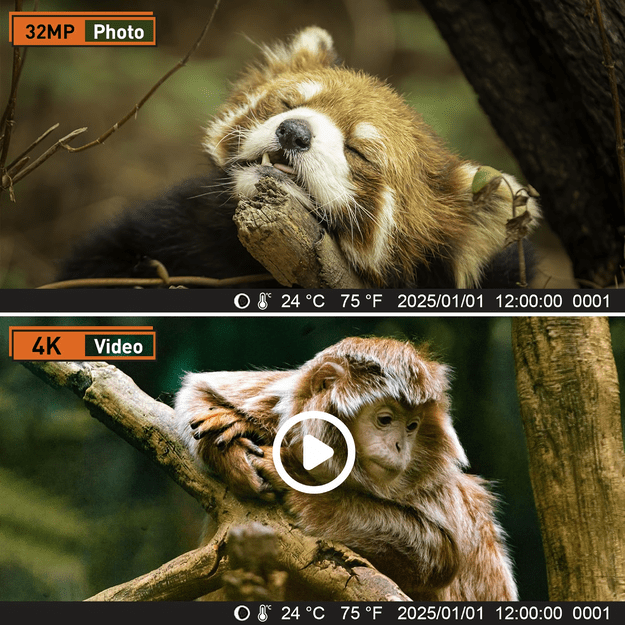 Kamera Leśna Fotopułapka Myśliwska Ip66 Czujnik Ruchu IR Tryb Nocny 1080p 23