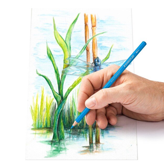 Staedtler - Watercolor colored pencil, 12 pcs (14610C M12) 3