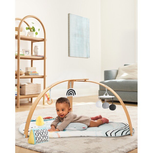 Skip Hop - Discoverosity Babygym 1