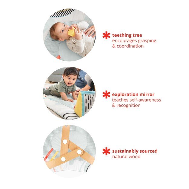 Skip Hop - Discoverosity Babygym 4