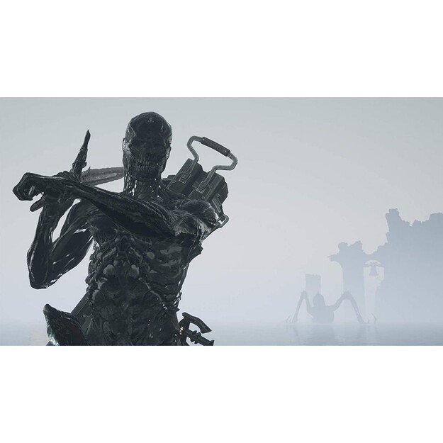 Mortal Shell: Enhanced Edition - Game of the Year (Steelbook Limited Edition)
      
        - PlayStation 4 9