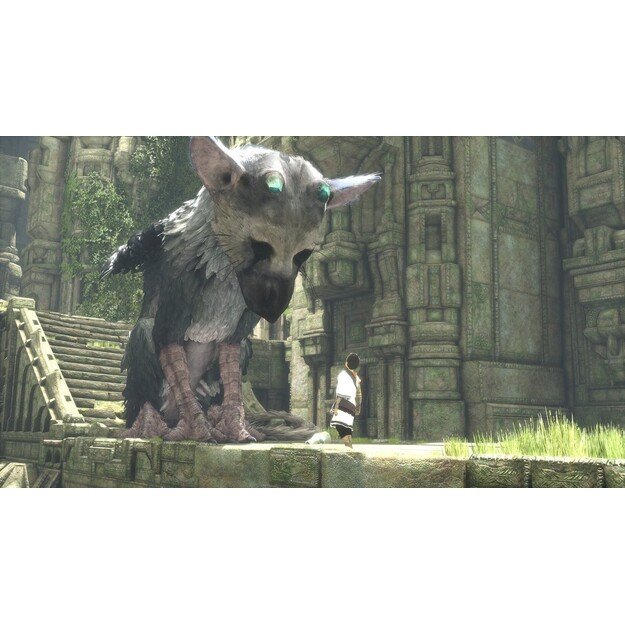 The Last Guardian
      
        - PlayStation 4 6