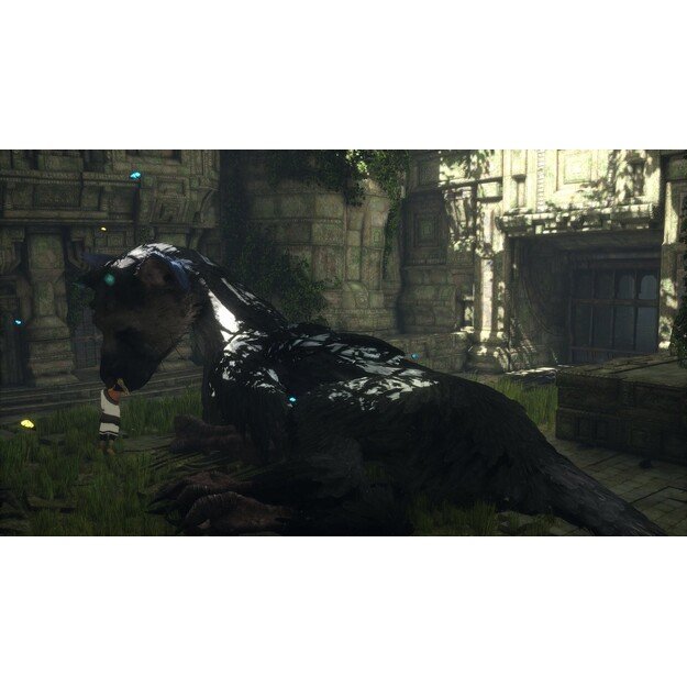 The Last Guardian
      
        - PlayStation 4 1